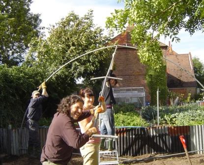 CWF Polytunnel